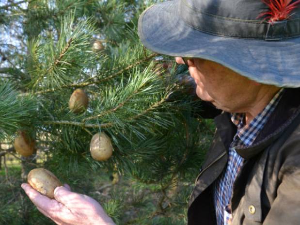 New Bannisters Farm innovation set to revolutionise food industry