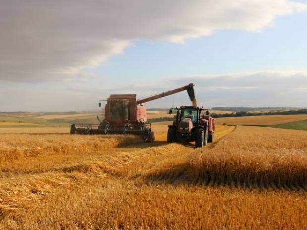 10 fascinating facts, figures and traditions around harvest time