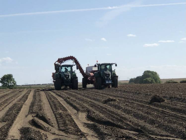 The UK Potato Market – A Farmer’s View – November 2019