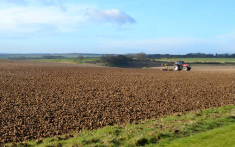 Spring work on the farm