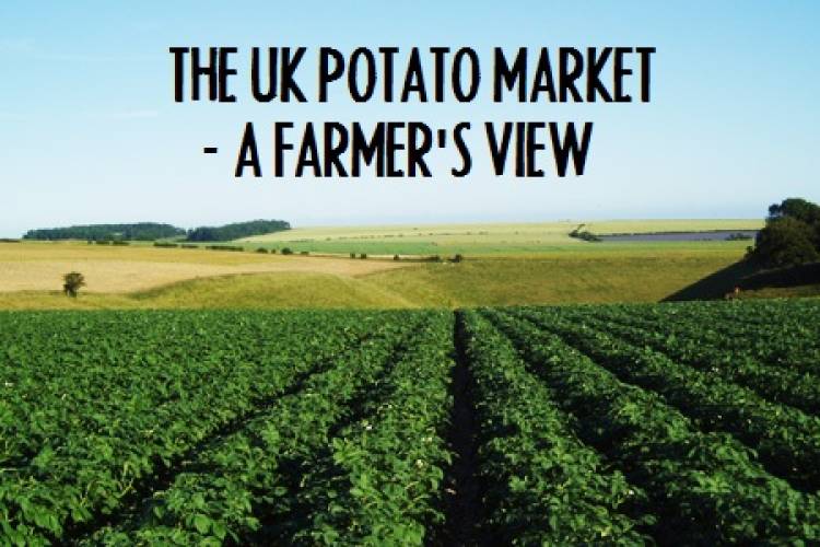 The UK potato market – November 2013