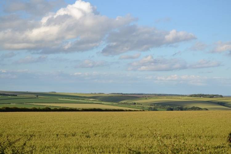 Pedal power on the Wolds