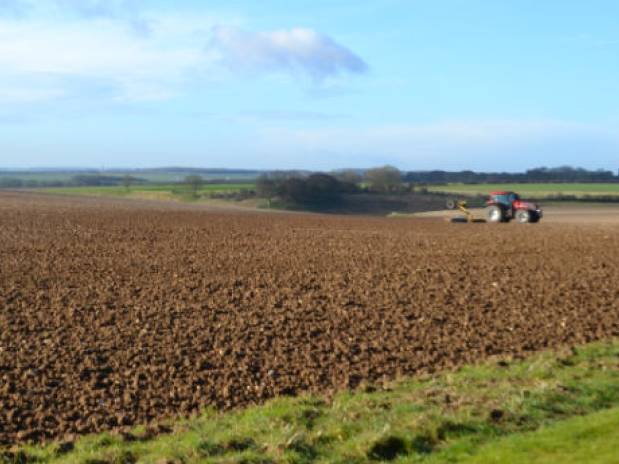 Spring work on the farm