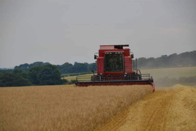 Summer on Bannisters Farm