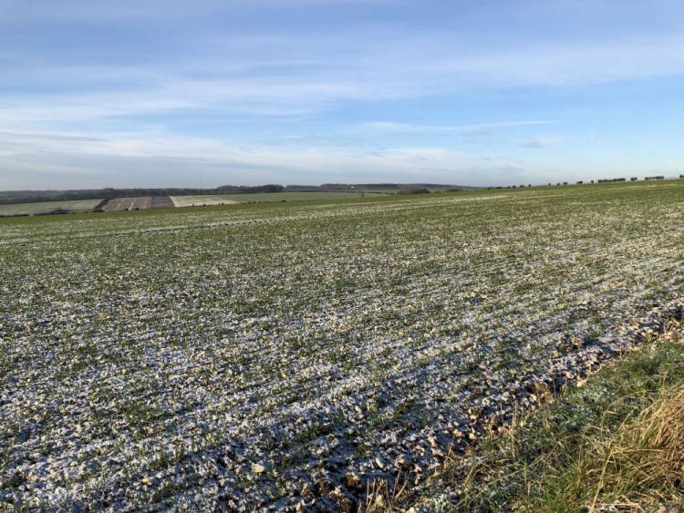 The first flurry of snow