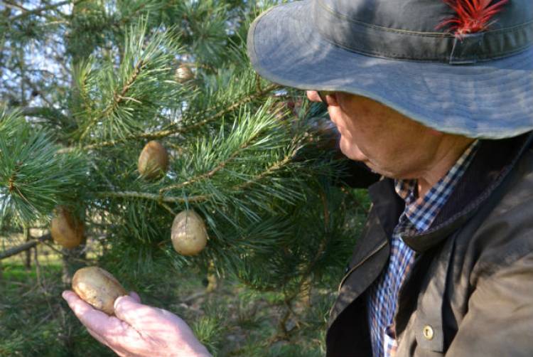 New Bannisters Farm innovation set to revolutionise food industry